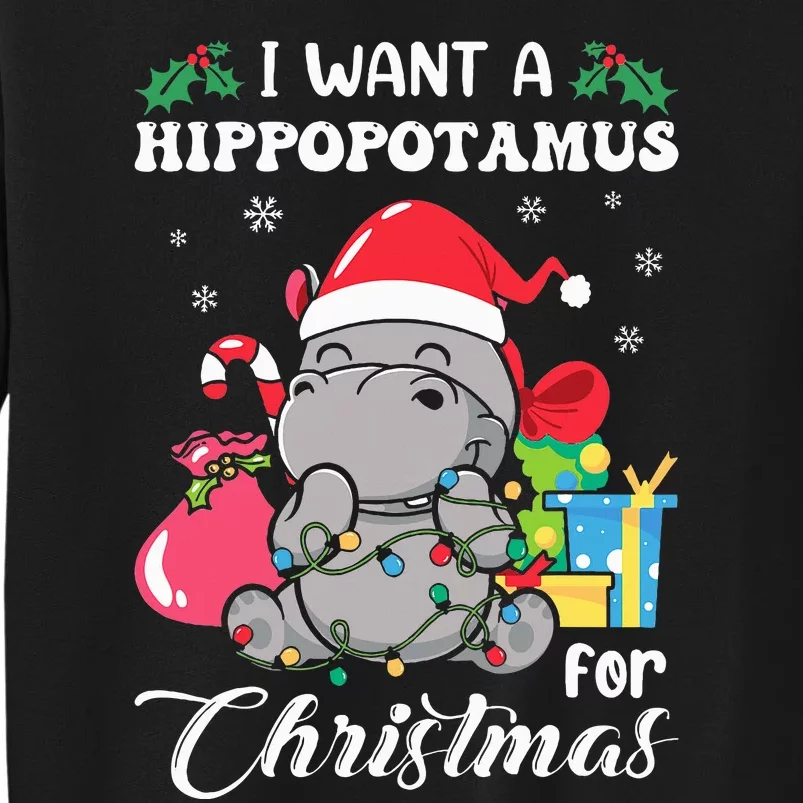 I Want A Hippopotamus For Christmas Hippo Christmas Pajamas Sweatshirt