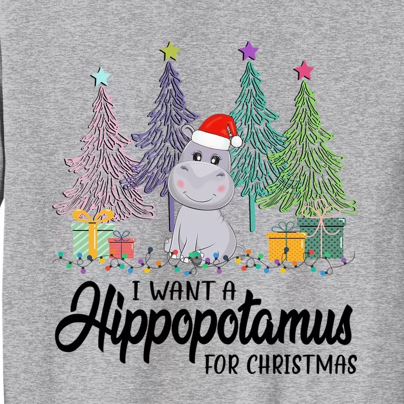 I Want A Hippopotamus For Christmas Gift Sweatshirt