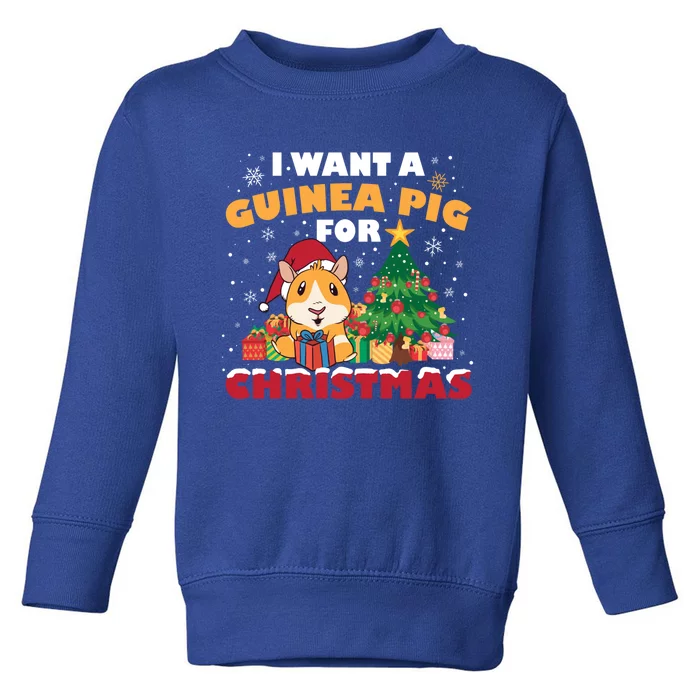 I Want A Guinea Pig For Christmas Gift Toddler Sweatshirt