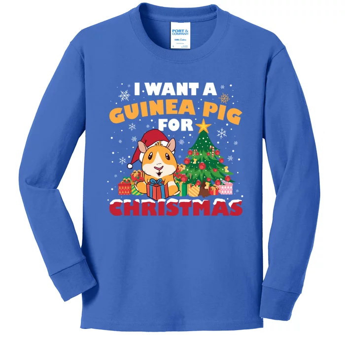 I Want A Guinea Pig For Christmas Gift Kids Long Sleeve Shirt