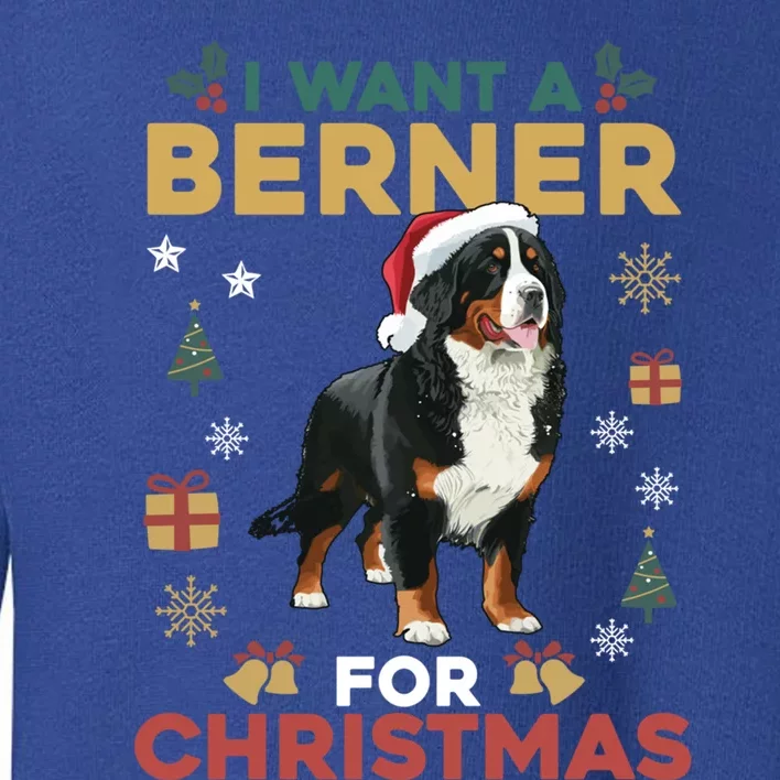 I Want A Berner For Christmas Cute Dog Lovers Family Pajama Great Gift Toddler Sweatshirt