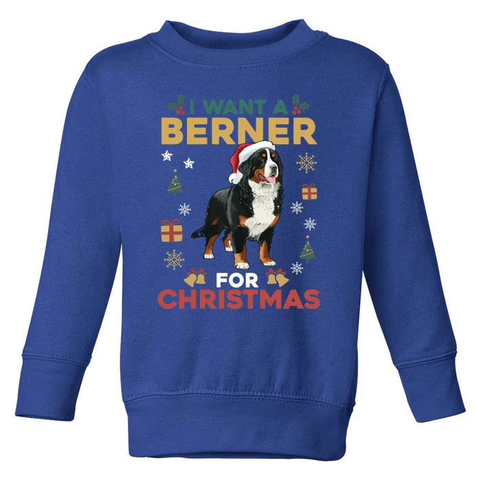 I Want A Berner For Christmas Cute Dog Lovers Family Pajama Great Gift Toddler Sweatshirt