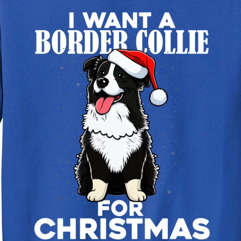 I Want A Border Collie For Christmas Cute Dog Lover Pajamas Gift Sweatshirt