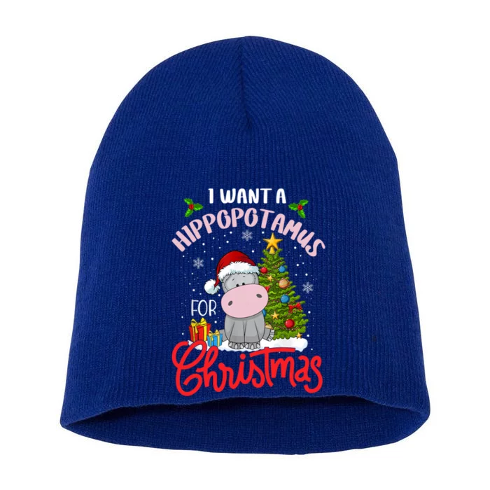 I Want A Hippopotamus For Christmas Funny Hippo Xmas Pajamas Gift Short Acrylic Beanie