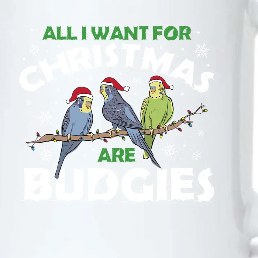 I Want Budgies For Christmas Cute Gift Black Color Changing Mug