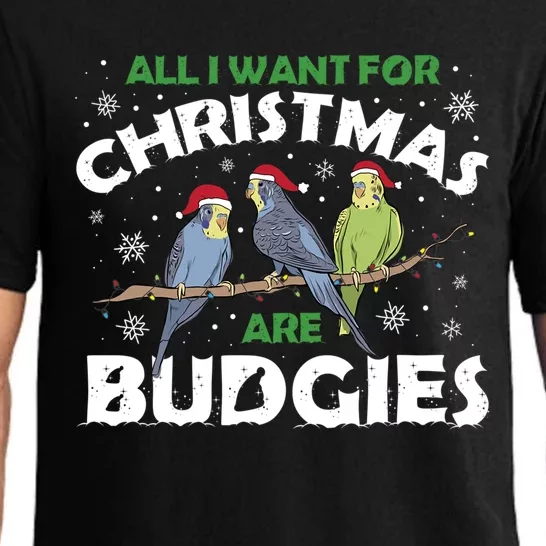 I Want Budgies For Christmas Cute Gift Pajama Set