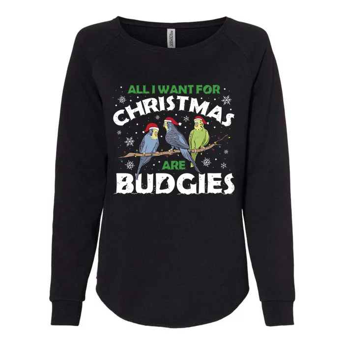 I Want Budgies For Christmas Cute Gift Womens California Wash Sweatshirt