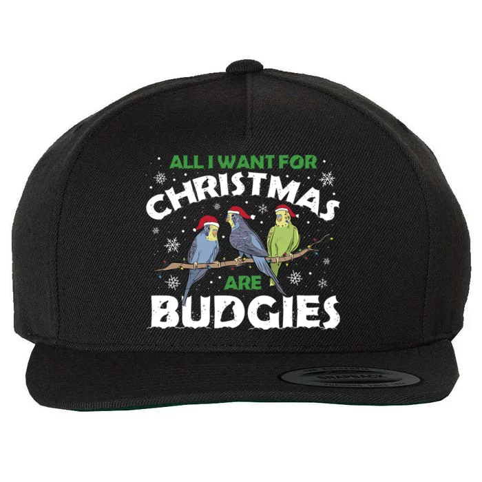 I Want Budgies For Christmas Cute Gift Wool Snapback Cap