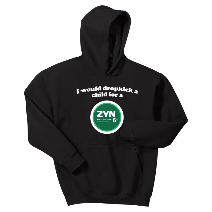 I Would Dropkick A Child For A Zyn Kids Hoodie