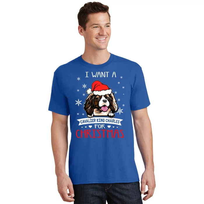 I Want For Christmas Is A Cavalier King Charles Spaniel Cute Gift T-Shirt