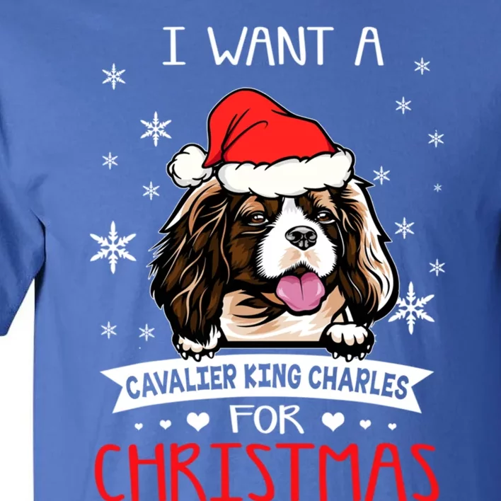 I Want For Christmas Is A Cavalier King Charles Spaniel Cute Gift Tall T-Shirt