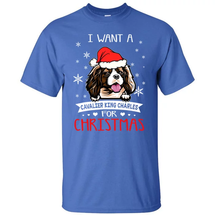 I Want For Christmas Is A Cavalier King Charles Spaniel Cute Gift Tall T-Shirt