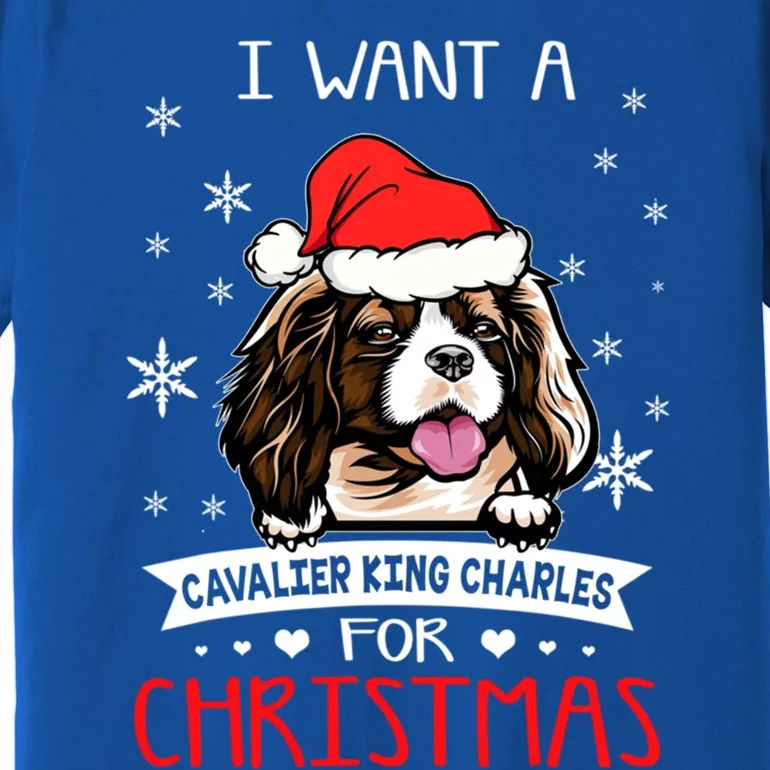 I Want For Christmas Is A Cavalier King Charles Spaniel Cute Gift Premium T-Shirt