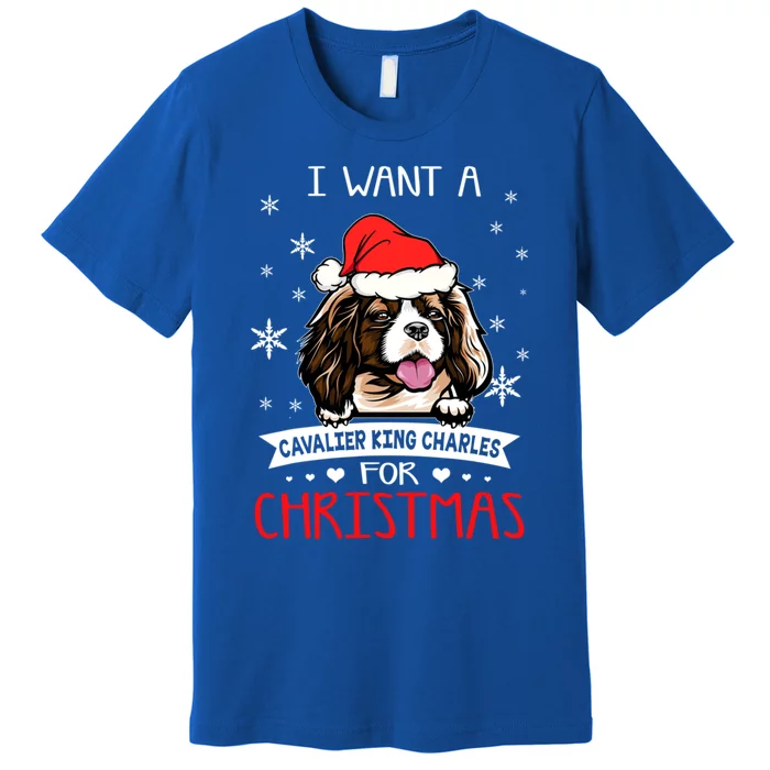 I Want For Christmas Is A Cavalier King Charles Spaniel Cute Gift Premium T-Shirt