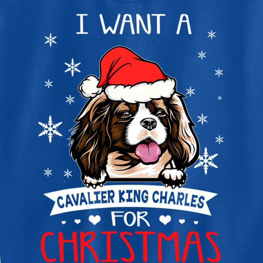 I Want For Christmas Is A Cavalier King Charles Spaniel Cute Gift Kids Sweatshirt