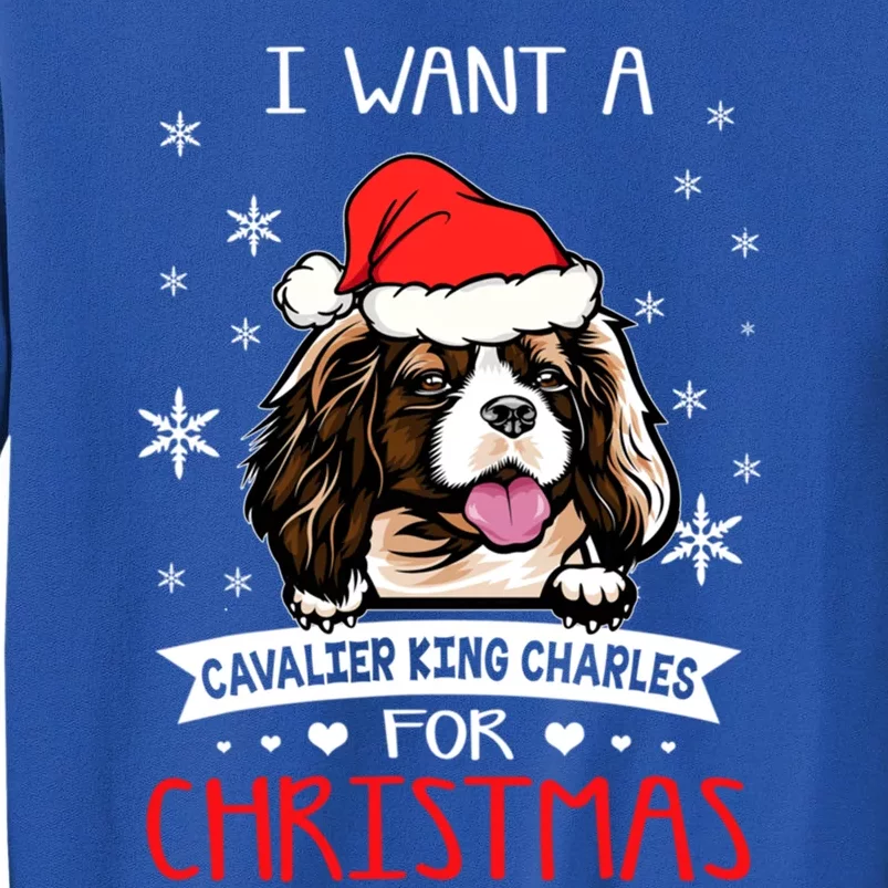 I Want For Christmas Is A Cavalier King Charles Spaniel Gift Tall Sweatshirt