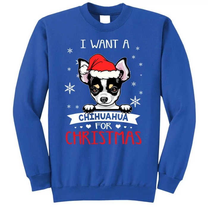 I Want For Christmas Is A Chihuahua Dog Santa Hat Funny Gift Sweatshirt