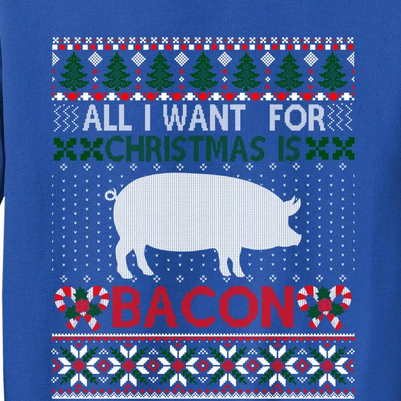 I Want For Christmas Is Bacon Pig Ugly Christmas Sweater Gift Sweatshirt