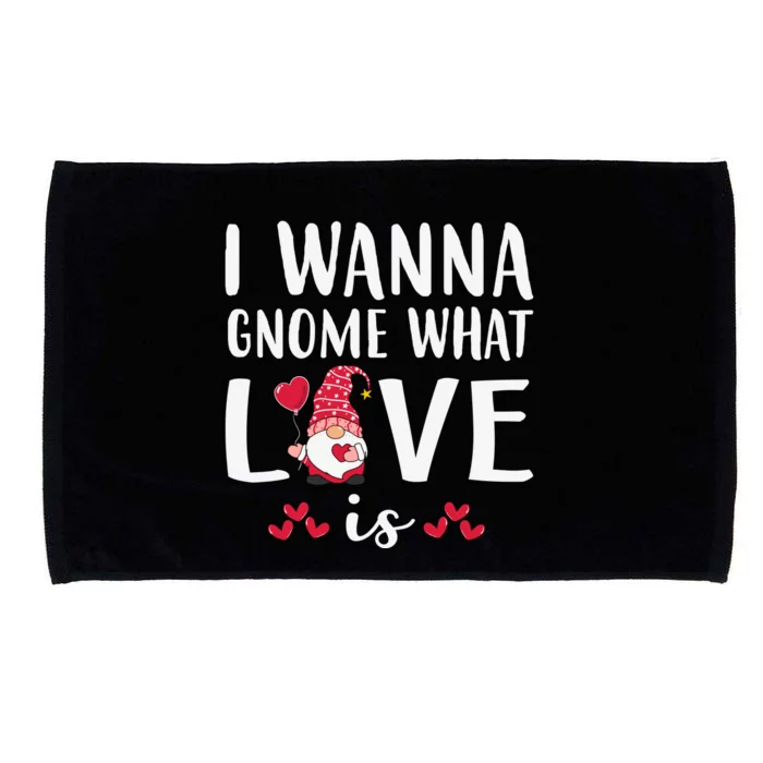 I Wanna Gnome What Love Is Valentine Day Microfiber Hand Towel