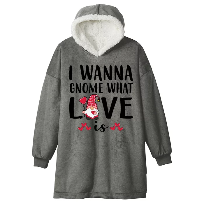 I Wanna Gnome What Love Is Valentine Day Hooded Wearable Blanket