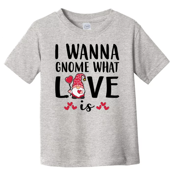 I Wanna Gnome What Love Is Valentine Day Toddler T-Shirt