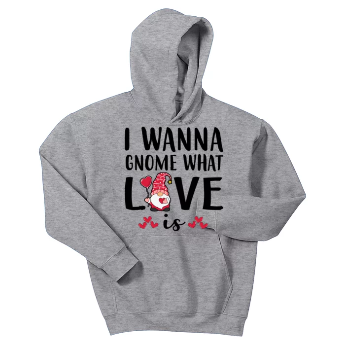 I Wanna Gnome What Love Is Valentine Day Kids Hoodie