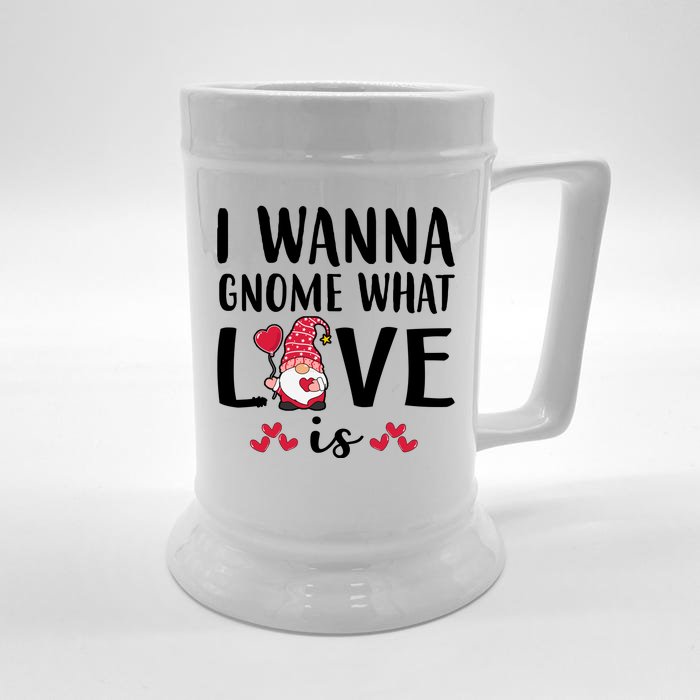 I Wanna Gnome What Love Is Valentine Day Front & Back Beer Stein