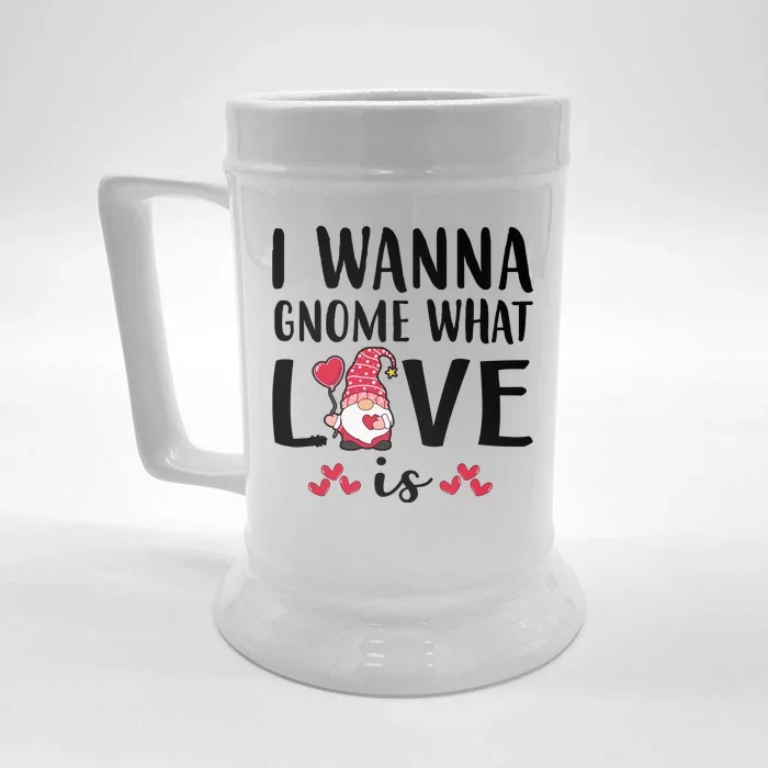 I Wanna Gnome What Love Is Valentine Day Front & Back Beer Stein