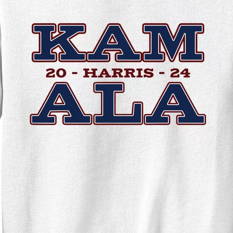 Im With Her Kamala Harris 2024 Sweatshirt