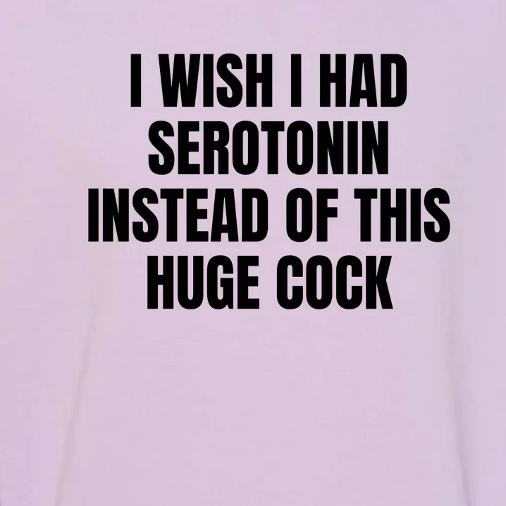 I Wish I Had Serotonin Instead Of This Huge Cock Funny Saying Garment-Dyed Sweatshirt