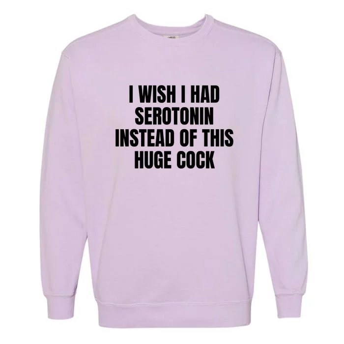 I Wish I Had Serotonin Instead Of This Huge Cock Funny Saying Garment-Dyed Sweatshirt