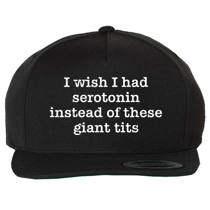 I Wish I Had Serotonin Instead Of These Giant Tits Funny Saying Wool Snapback Cap