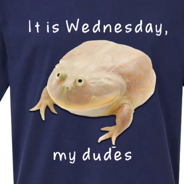 It's Wednesday My Dudes Funny Meme Sueded Cloud Jersey T-Shirt