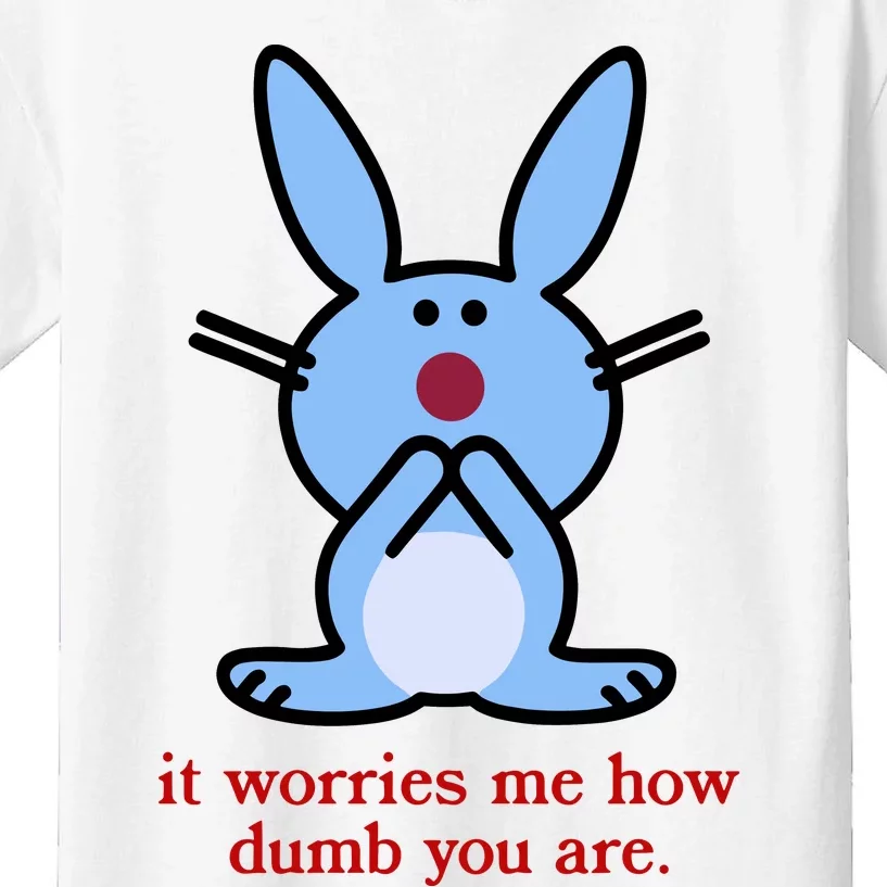 It Worries Me How Dumb You Are Kids T-Shirt