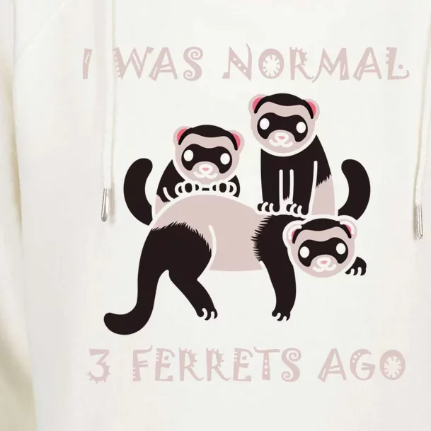 I Was Normal 3 Ferrets Ago Ferret Whisperer Animal Lover Meaningful Gift Womens Funnel Neck Pullover Hood