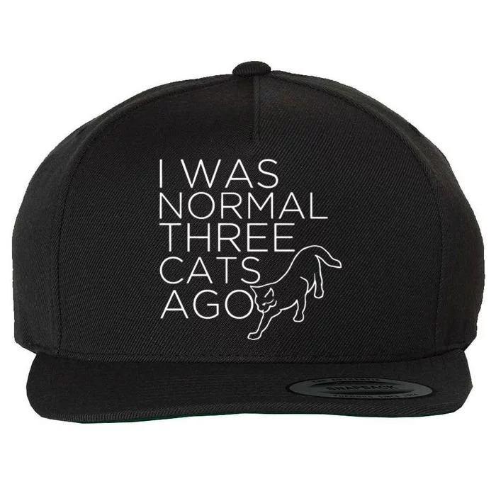 I Was Normal Trois Chats Ago Wool Snapback Cap