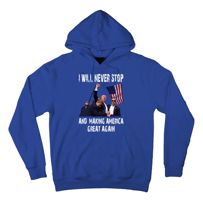 I Will Never Stop And Making America Great Again A Gift For Trump Supporters Hoodie