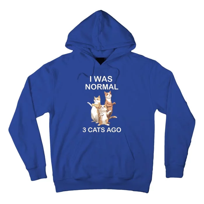 I Was Normal 3 Cats Ago Funny Cagift For Cat Dad/mom Cute Gift Tall Hoodie