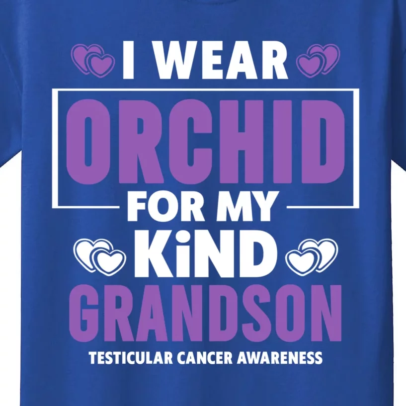 I Wear Orchid For My Grandson Gift Testicular Cancer Awareness Funny Gift Kids T-Shirt