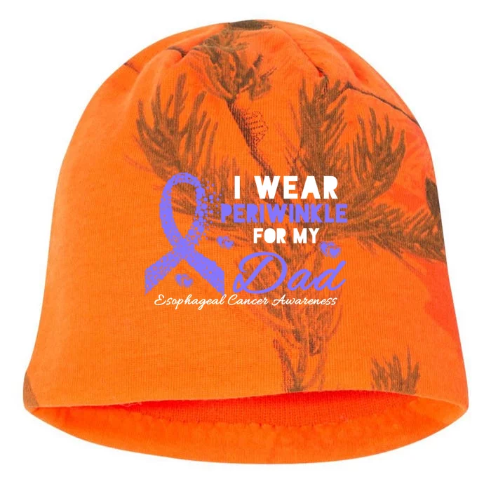 I Wear Periwinkle For My Dad Cute Gift Esophageal Cancer Awareness Meaningful Gi Kati - Camo Knit Beanie