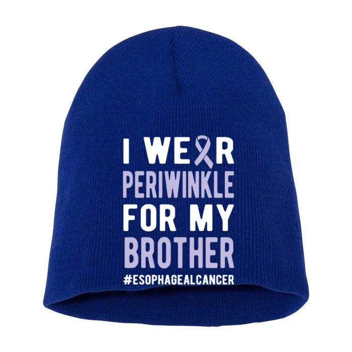 I Wear Periwinkle For My Brother Esophageal Cancer Warrior Gift Short Acrylic Beanie