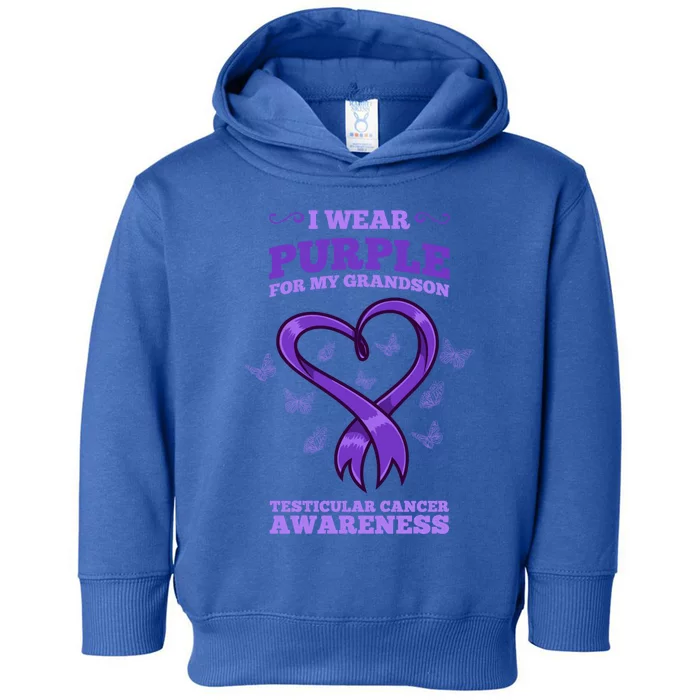 I Wear Purple For My Grandson Testicular Cancer Awareness Gift Toddler Hoodie