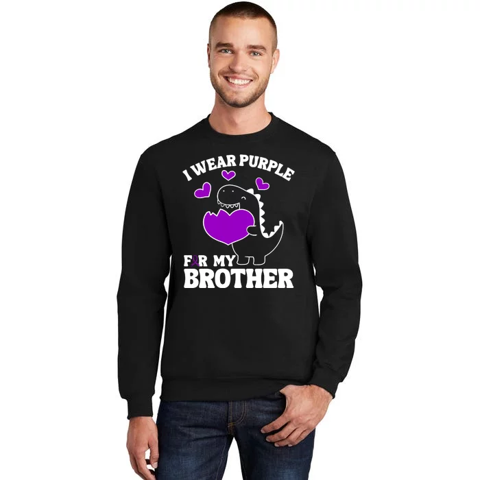 I Wear Purple For My Brother Epilepsy Awareness Sweatshirt