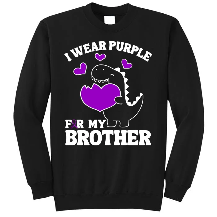 I Wear Purple For My Brother Epilepsy Awareness Sweatshirt