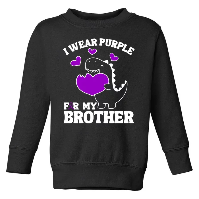 I Wear Purple For My Brother Epilepsy Awareness Toddler Sweatshirt