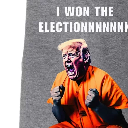 I Won The Election Funny Trump Prisoner Halloween Costume Doggie 3-End Fleece Hoodie