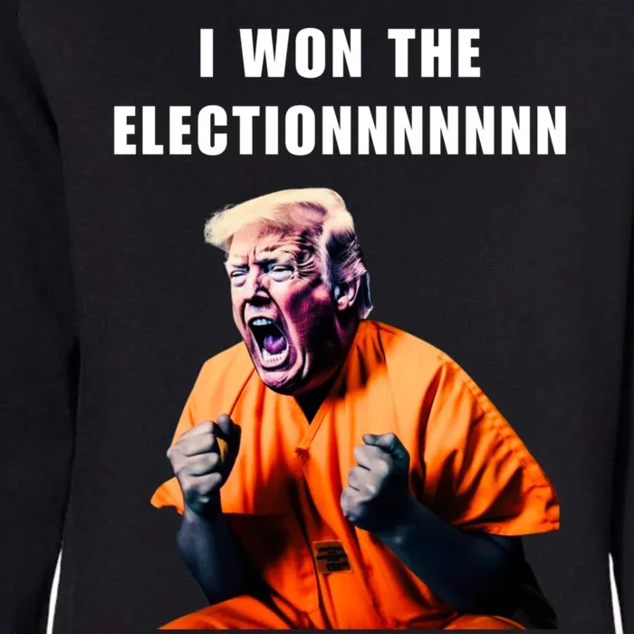 I Won The ElectionFunny Trump Prisoner Halloween Costume Womens California Wash Sweatshirt