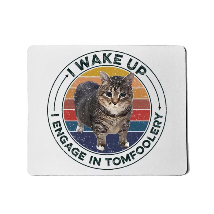 I Wake Up I Engage In Tomfoolery Silly Cat Meme Dark Joke Mousepad