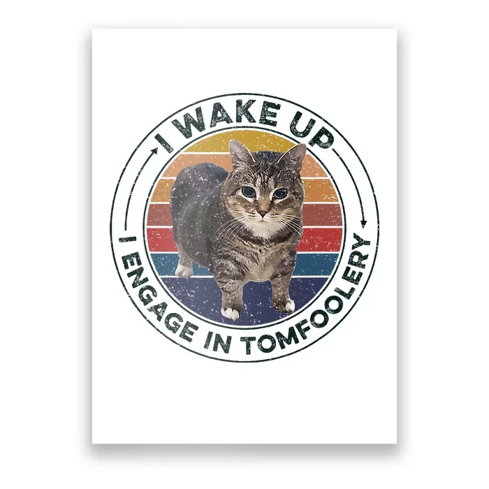 I Wake Up I Engage In Tomfoolery Silly Cat Meme Dark Joke Poster