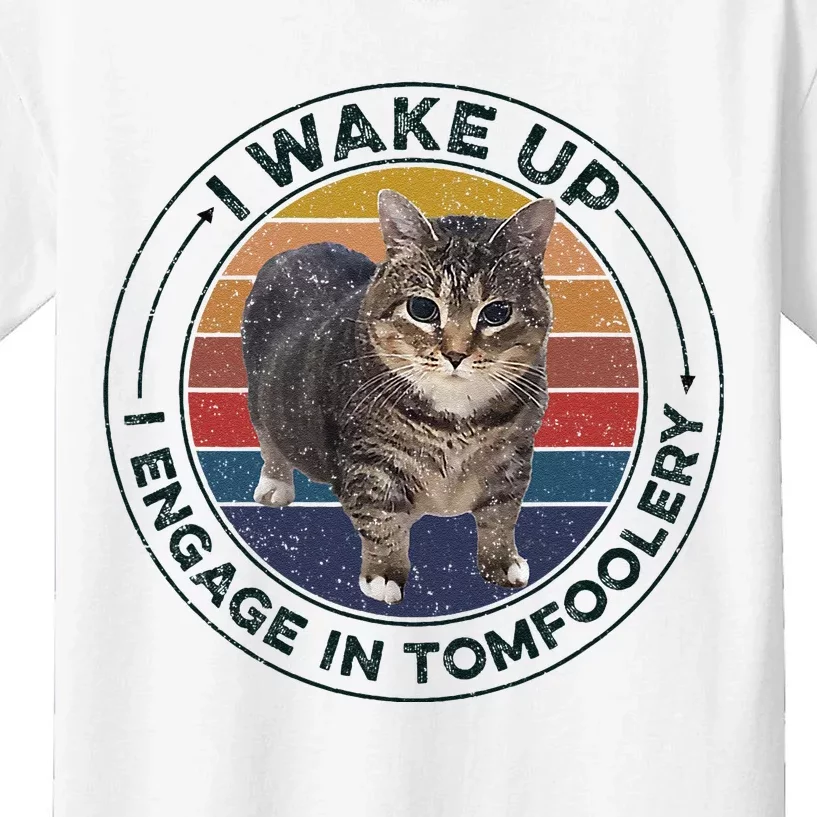 I Wake Up I Engage In Tomfoolery Silly Cat Meme Dark Joke Kids T-Shirt